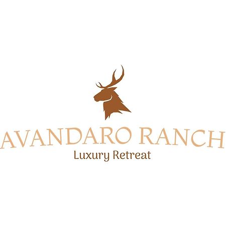Romantic Luxury Retreat Hot Cold Pool & Sauna Wimberley Eksteriør billede