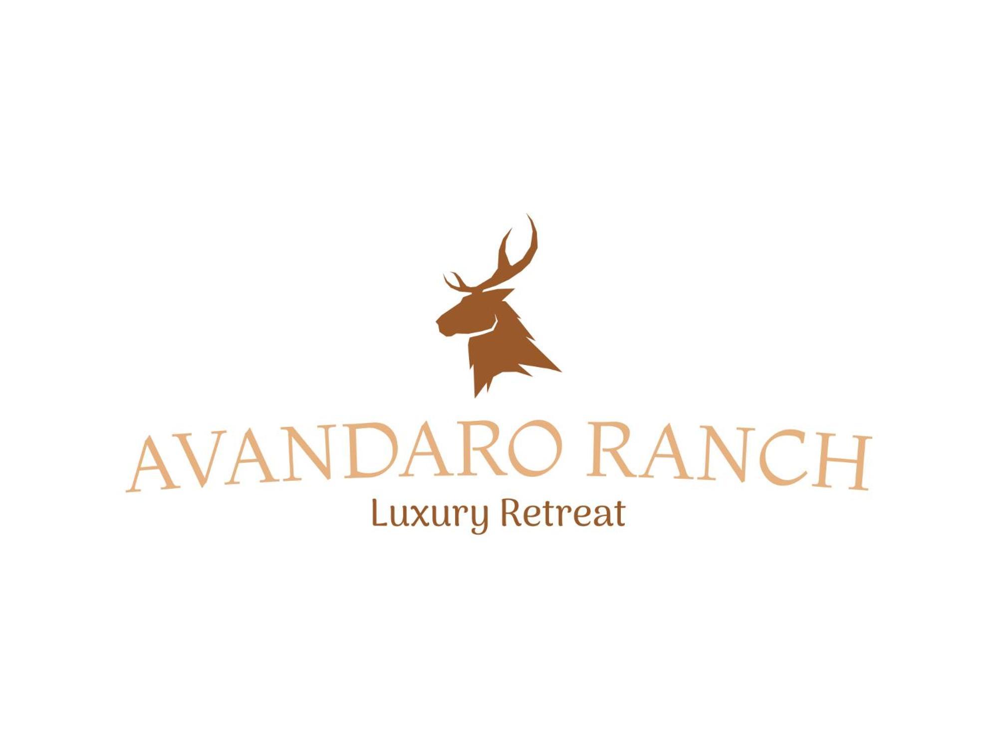 Romantic Luxury Retreat Hot Cold Pool & Sauna Wimberley Eksteriør billede